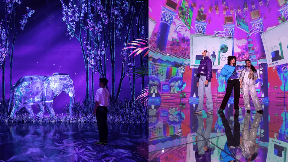 ARTE Museum + House Of Hype – Combo - Image 1